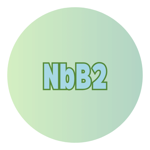 NbB2 Niobium Diboride